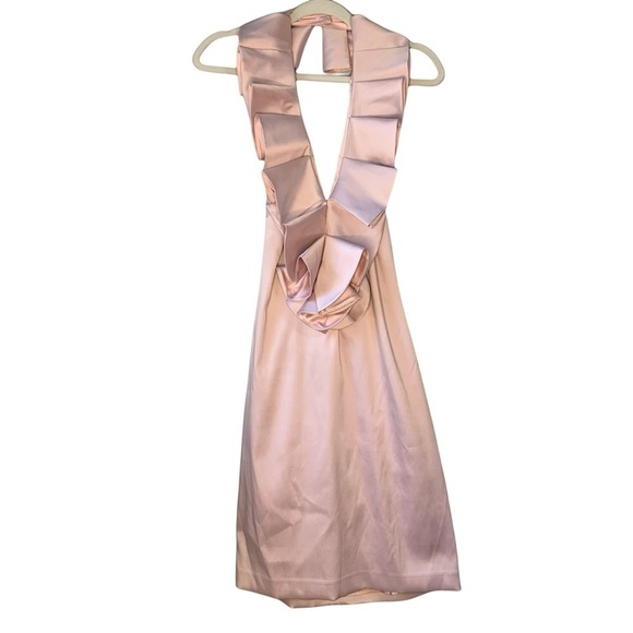 Bagley Mischka Belle Heidi V-Neck Pink Ruffle front cocktail dress. Size 10‎ - Picture 7 of 9